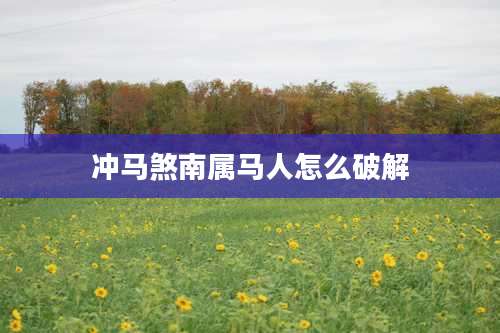 冲马煞南属马人怎么破解