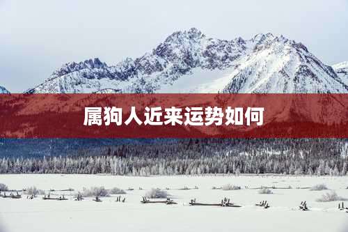 属狗人近来运势如何