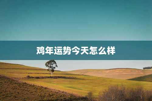 鸡年运势今天怎么样