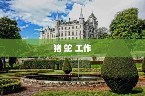 猪 蛇 工作