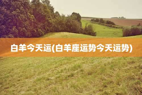 白羊今天运(白羊座运势今天运势)
