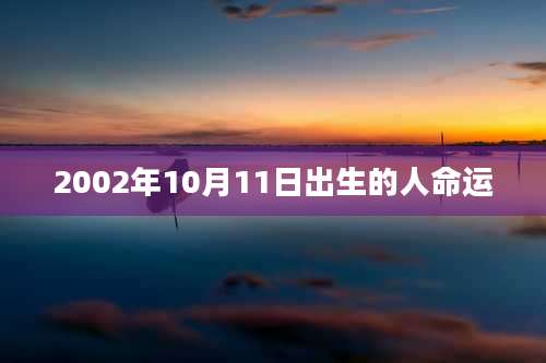 2002年10月11日出生的人命运