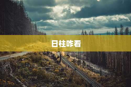 日柱咋看