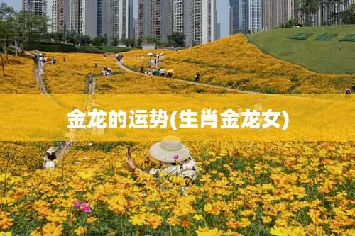金龙的运势(生肖金龙女)