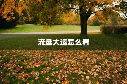 流盘大运怎么看