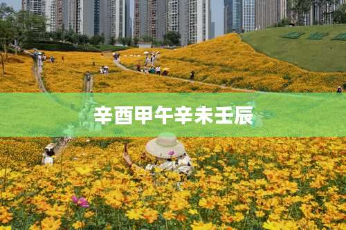 辛酉甲午辛未壬辰