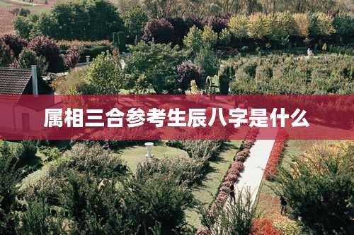 属相三合参考生辰八字是什么