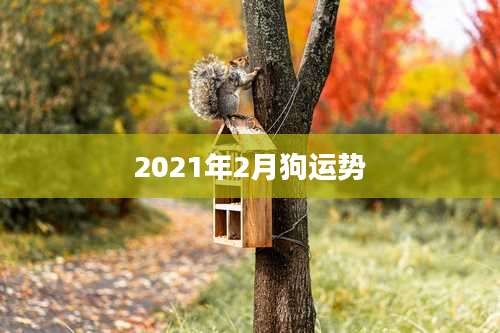 2021年2月狗运势