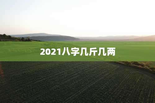 2021八字几斤几两