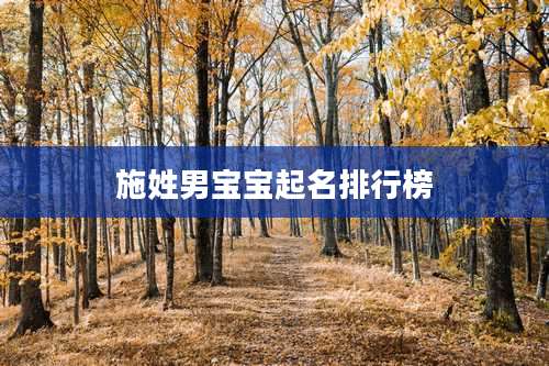 施姓男宝宝起名排行榜