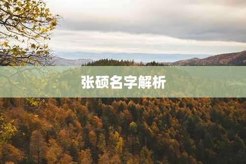 张硕名字解析