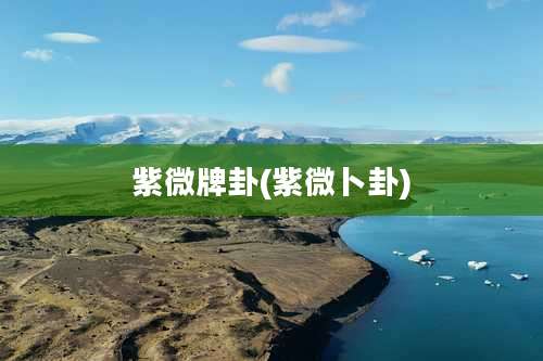 紫微牌卦(紫微卜卦)