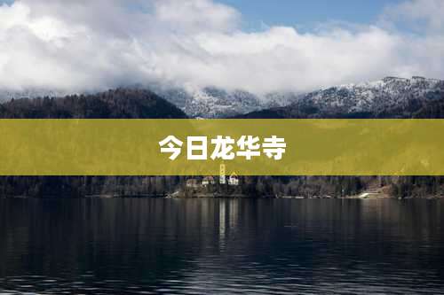 今日龙华寺