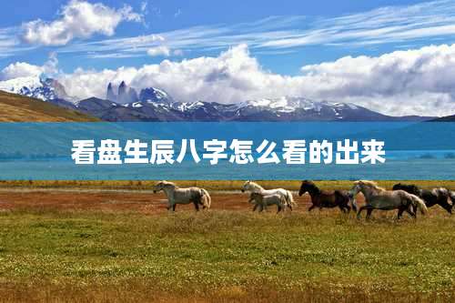 看盘生辰八字怎么看的出来