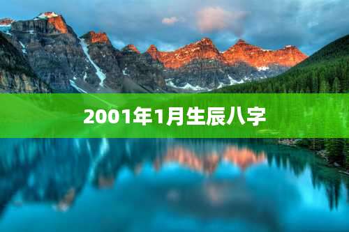 2001年1月生辰八字