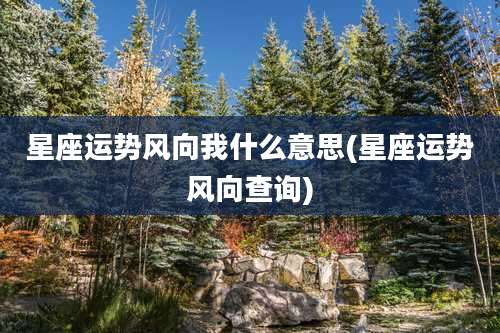 星座运势风向我什么意思(星座运势风向查询)