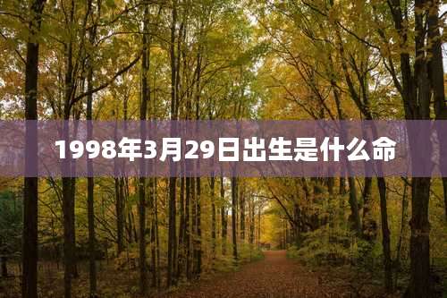 1998年3月29日出生是什么命