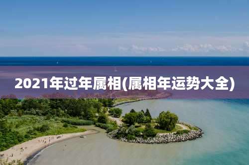 2021年过年属相(属相年运势大全)