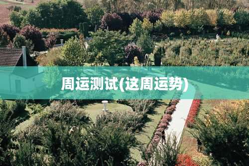 周运测试(这周运势)
