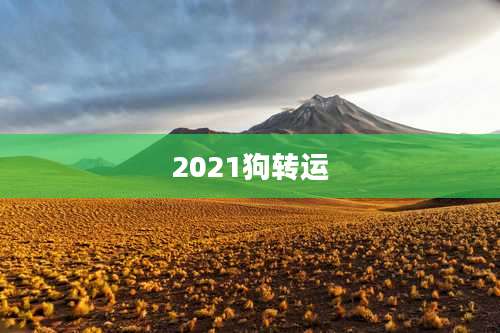 2021狗转运