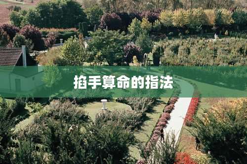 掐手算命的指法