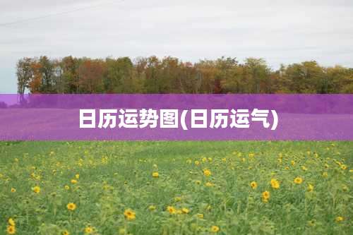 日历运势图(日历运气)