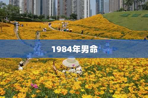 1984年男命