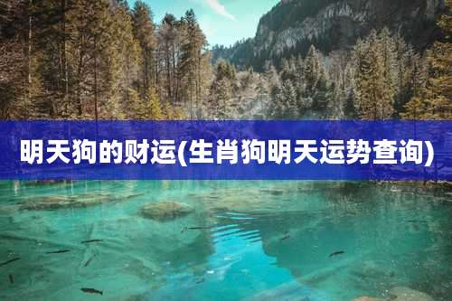 明天狗的财运(生肖狗明天运势查询)