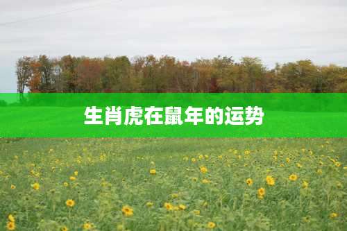 生肖虎在鼠年的运势