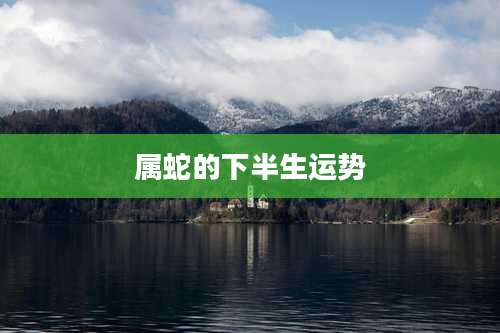 属蛇的下半生运势