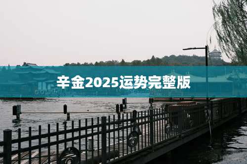 辛金2025运势完整版