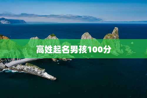 高姓起名男孩100分