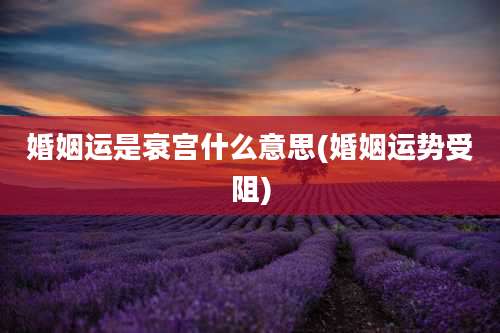 婚姻运是衰宫什么意思(婚姻运势受阻)