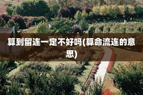 算到留连一定不好吗(算命流连的意思)