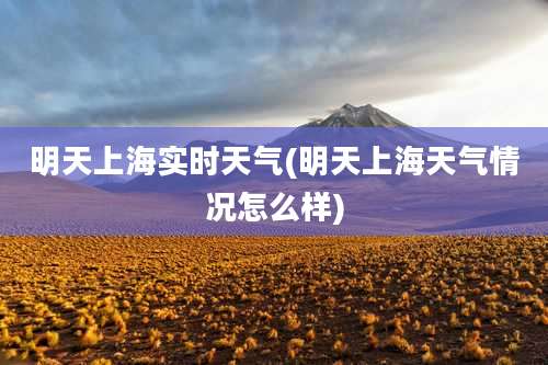 明天上海实时天气(明天上海天气情况怎么样)
