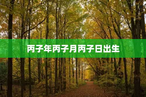 丙子年丙子月丙子日出生