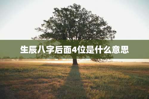生辰八字后面4位是什么意思