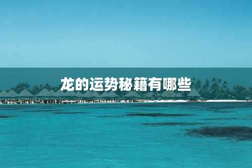 龙的运势秘籍有哪些