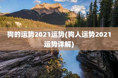 狗的运势2021运势(狗人运势2021运势详解)