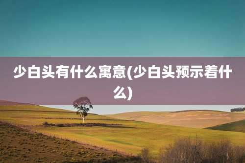 少白头有什么寓意(少白头预示着什么)
