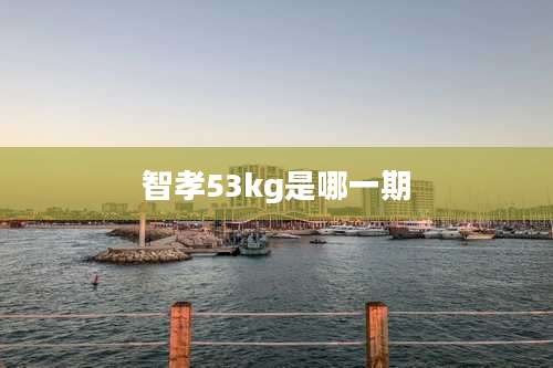 智孝53kg是哪一期