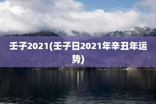 壬子2021(壬子日2021年辛丑年运势)