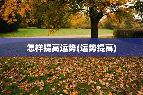 怎样提高运势(运势提高)
