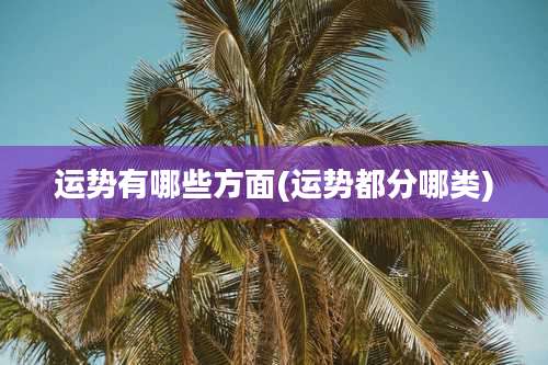 运势有哪些方面(运势都分哪类)