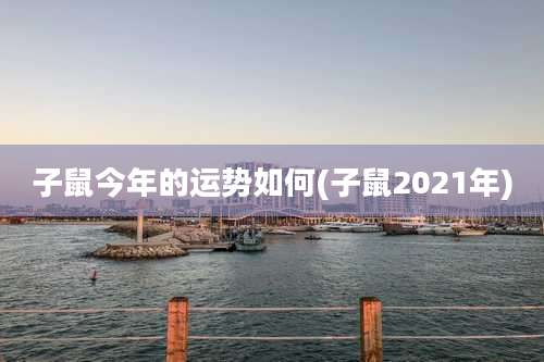 子鼠今年的运势如何(子鼠2021年)