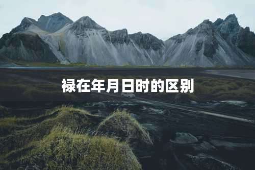 禄在年月日时的区别