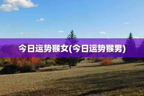 今日运势猴女(今日运势猴男)