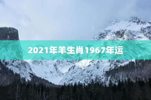 2021年羊生肖1967年运