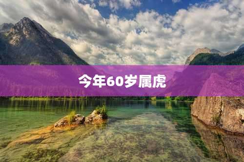今年60岁属虎
