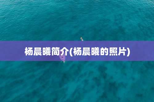 杨晨曦简介(杨晨曦的照片)